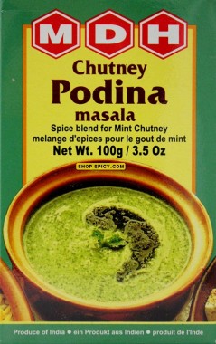 MDH CHUTNEY PODINA 100GM