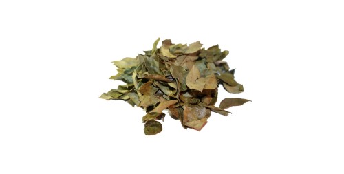 CURRY_LEAVES_WHOLE
