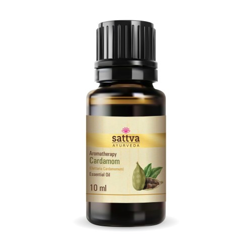 Cardamm.JPG